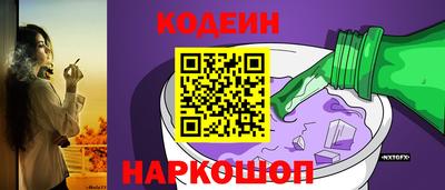 стафф Кингисепп