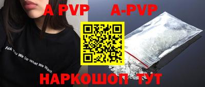стафф Кингисепп