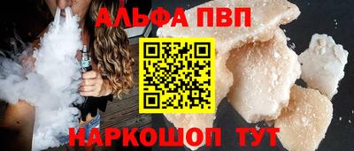 стафф Кингисепп