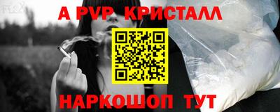 стафф Кингисепп