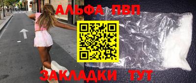 стафф Кингисепп
