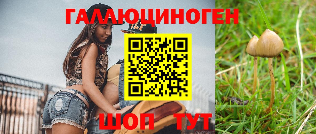 Галлюциногенные грибы Psilocybine cubensis  Вход с VPN  Глазов 