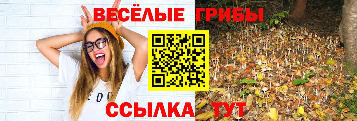 Псилоцибиновые грибы мицелий Глазов
